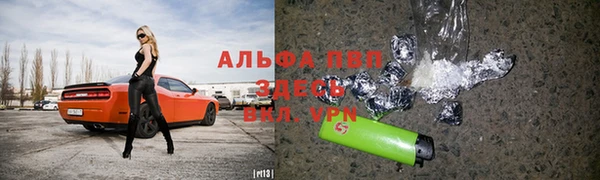 СК Семикаракорск