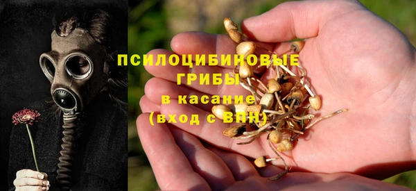дурь Зеленодольск