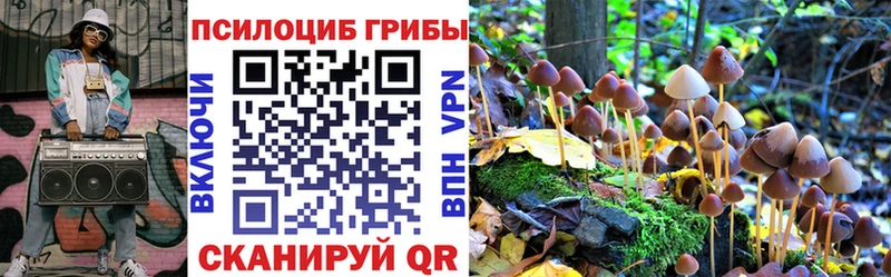 Галлюциногенные грибы MAGIC MUSHROOMS  Сланцы 