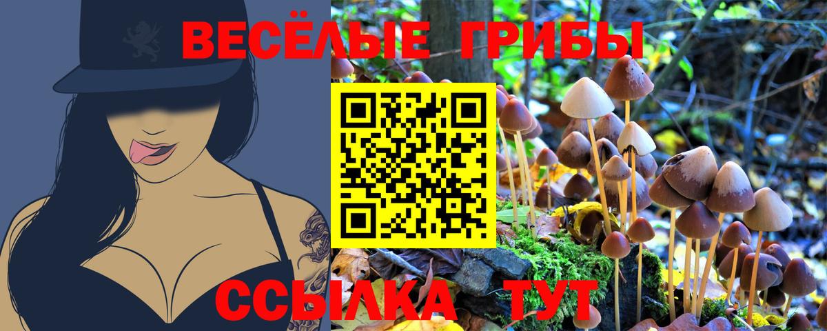 Галлюциногенные грибы GOLDEN TEACHER Сланцы